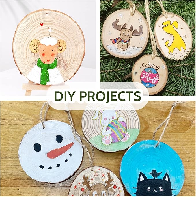 Falling in Art 3.1-4 Inches Natural Wood Slices Set for Crafts - 25Pcs Round Wood Discs with Pre-drilled Hole for DIY Projects, Christmas Ornaments and Wedding Decoration