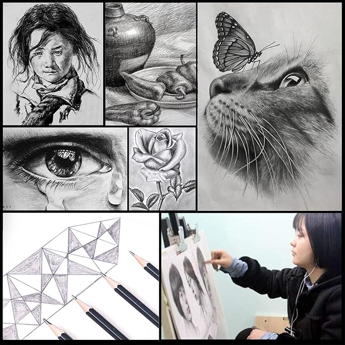 31 Drawing Sketching Pencils Kit, Portable Artist Supples Travel Case Set has Graphite, Charcoal, white color pencil, Blending Stump, gift for Adults Beginners for Drawing Sketch