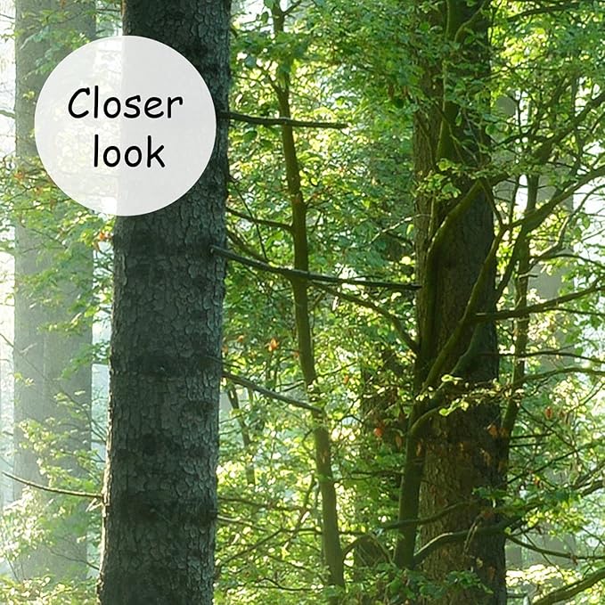 AFZEVEB-Green Forest Wallpaper Natural Landscape Wall murals for Bedroom 159"x107"(Not Peel and Stick)