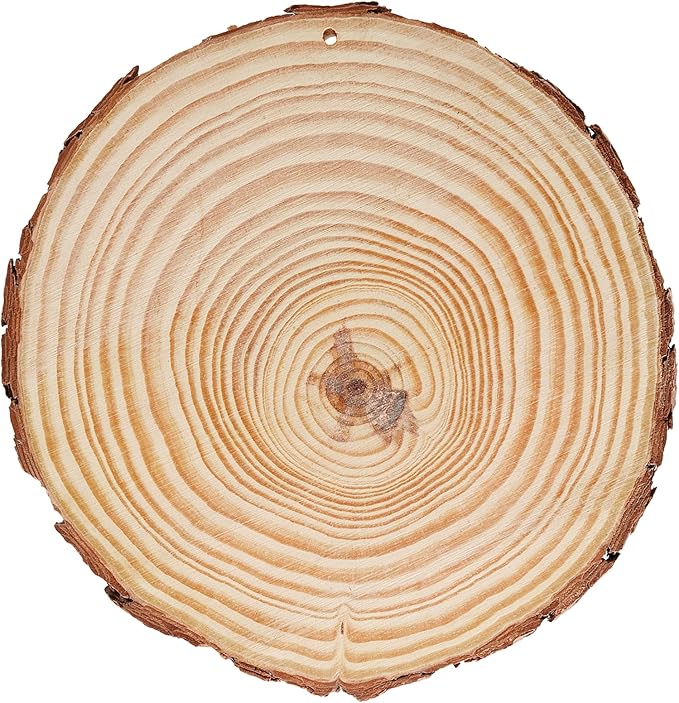 JEUIHAU 12 PCS 5.5-5.9 Inches Natural Wood Slices with Holes, Unfinished Predrilled Wooden Circles Tree Bark Slice, Blank Wooden Log Circles for DIY Crafts, Arts Wood Slices, Christmas Ornaments