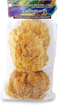 Natural Sea Sponges for Artists - Unbleached 5"-5.5" 2pc Value Pack: Great for Painting Decorating Texturing Sponging Marbling Effects Faux Finishes Crafts & More by Lullingworth®