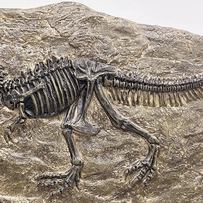 XINDAM Resin Tyrannosaurus Rex Dinosaur Fossil Statue Model Simulated Skeleton Home Office Display Decorative Craft Box Decoration (Style 5)