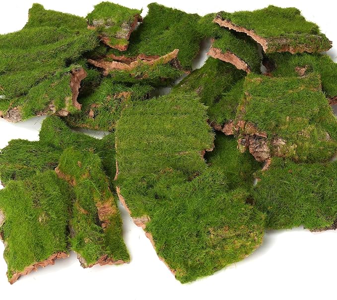 BYHER Assorted Artificial Moss Bark, Decorative Mossy Tree Bark for DIY Crafts, Fairy Gardens, Terrariums, Floral Arrangements (Realistic Green - 100gr)