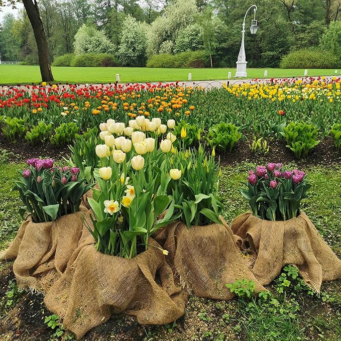 Garden Burlap Roll, 40" x 100 Feet Natural Jute Burlap Fabric Roll for Gardening Raised Bed Liners,Seed Cover,Edging,Weed Barrier,Aisle Runner Plant Cover Tree Protections (40" x 100 Feet)