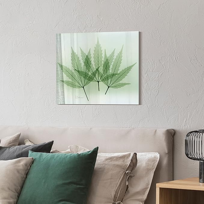 Empire Art Direct Frameless Free Floating Tempered Glass Panel Graphic Wall Art Ready to Hang, 16" x 20", Green Flower