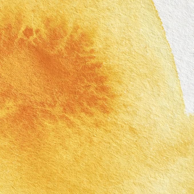 Winsor & Newton Professional Water Colour Paint, Half Pan, Cadmium Yellow Deep